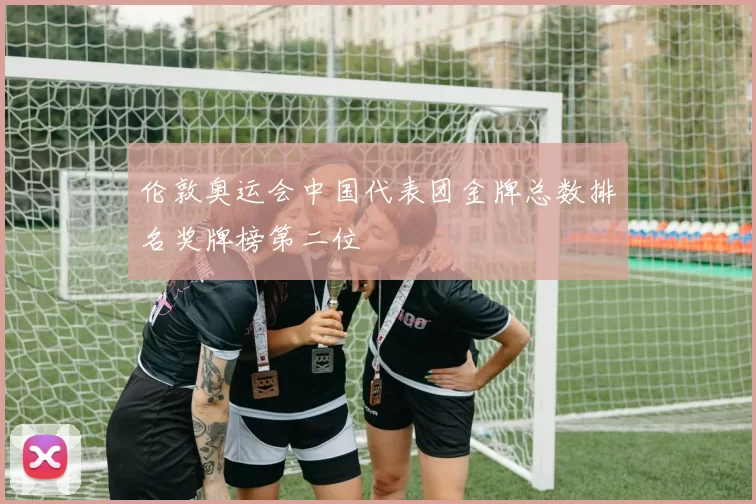 伦敦奥运会中国代表团金牌总数排名奖牌榜第二位